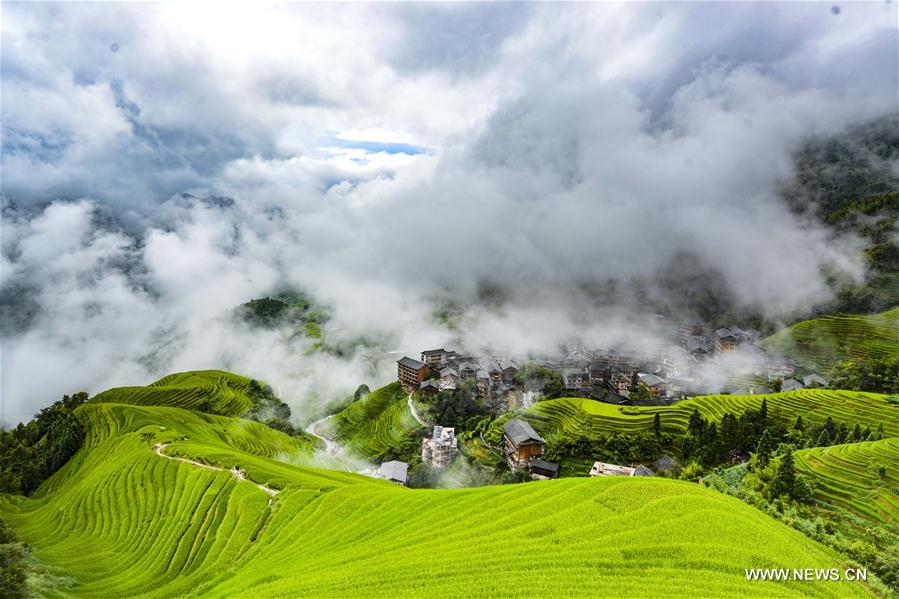 Scenery of terraced fields in S China's Guangxi