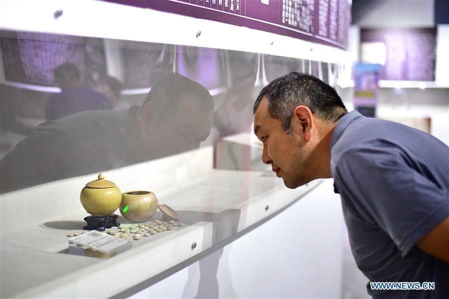 A look inside Go (Weiqi) museum in central China's Henan