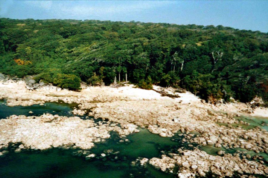 In this photo released by the Indian Coast Guard, a view of the North Sentinel Island from which the sea retracted after the Dec. 26 tsunami, and exposed coral reefs, foreground, in Indias Andaman and Nicobar archipelago, Tuesday, Dec, 28, 2004. From circumstantial evidence, officials say fate and the ancient knowledge of secret signals in the wind and sea have combined to save the five indigenous tribes living for centuries in the southern archipelago of Andaman and Nicobar from the catastrophic tsunami that lashed Asian coastlines last week. But the fate of the tribes, on the verge of extinction, will be known with certainty only after officials complete a survey of their remote islands beginning Wednesday. [Photo: AP]