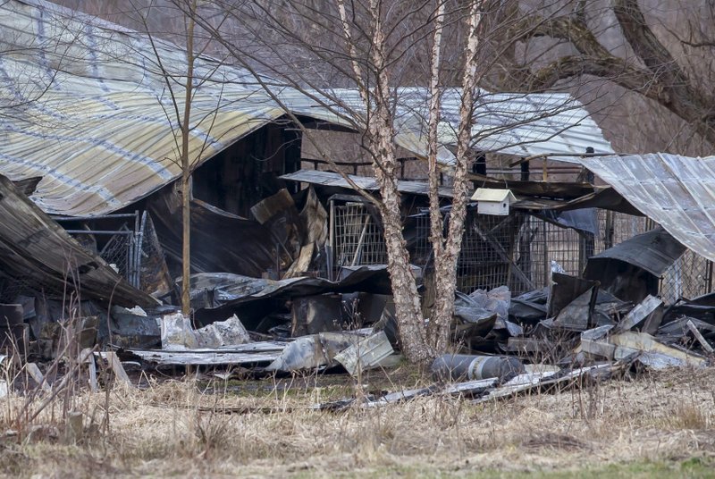 About 30 dogs believed dead in Michigan kennel fire