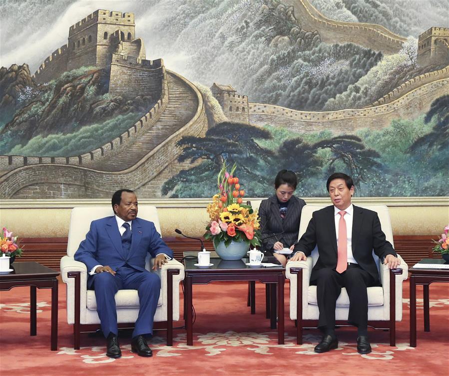 China's top legislator meets Cameroon's president
