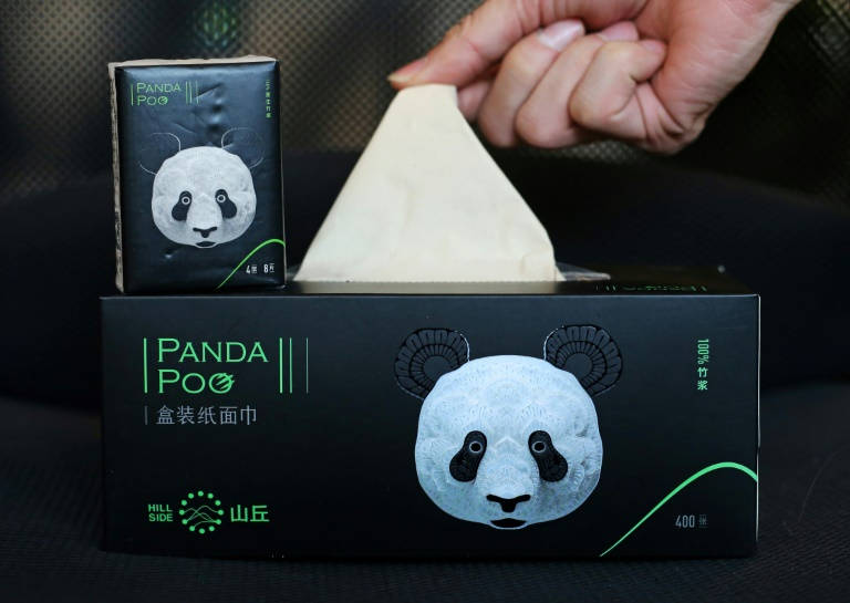 Chinese firm turns panda poop into toilet paper