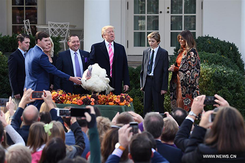Trump pardons two Thanksgiving turkeys, jokes about killing Obama's birds
