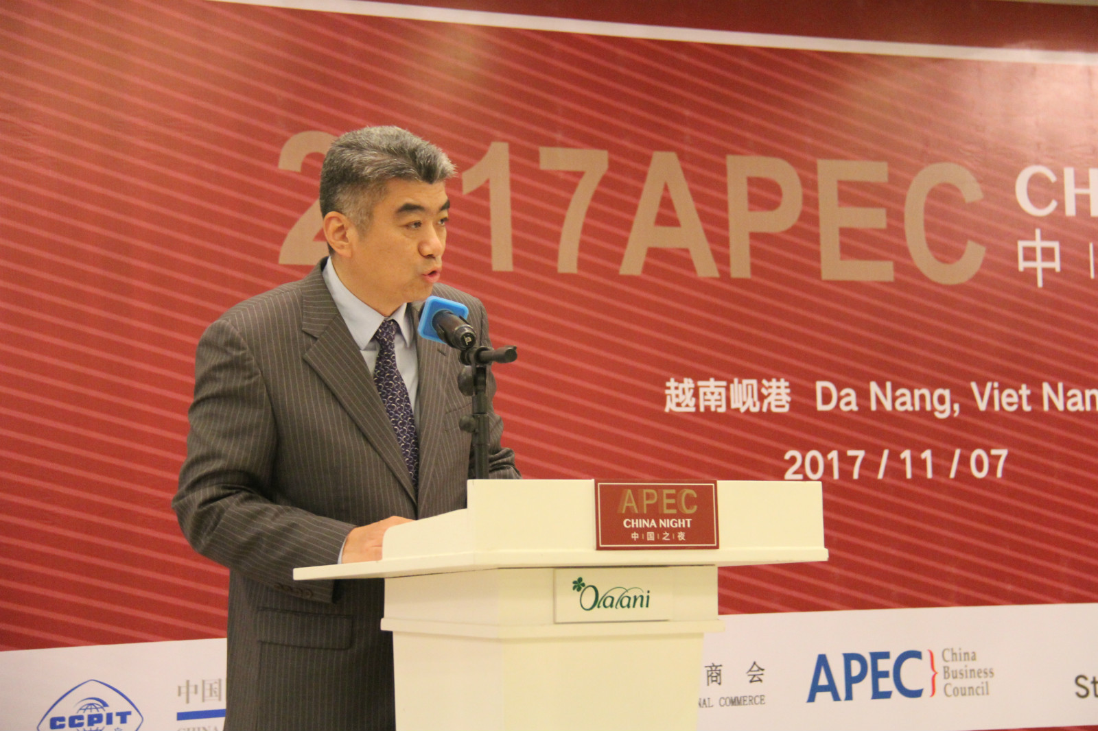 APEC Vietnam 2017 witnesses China growing influence