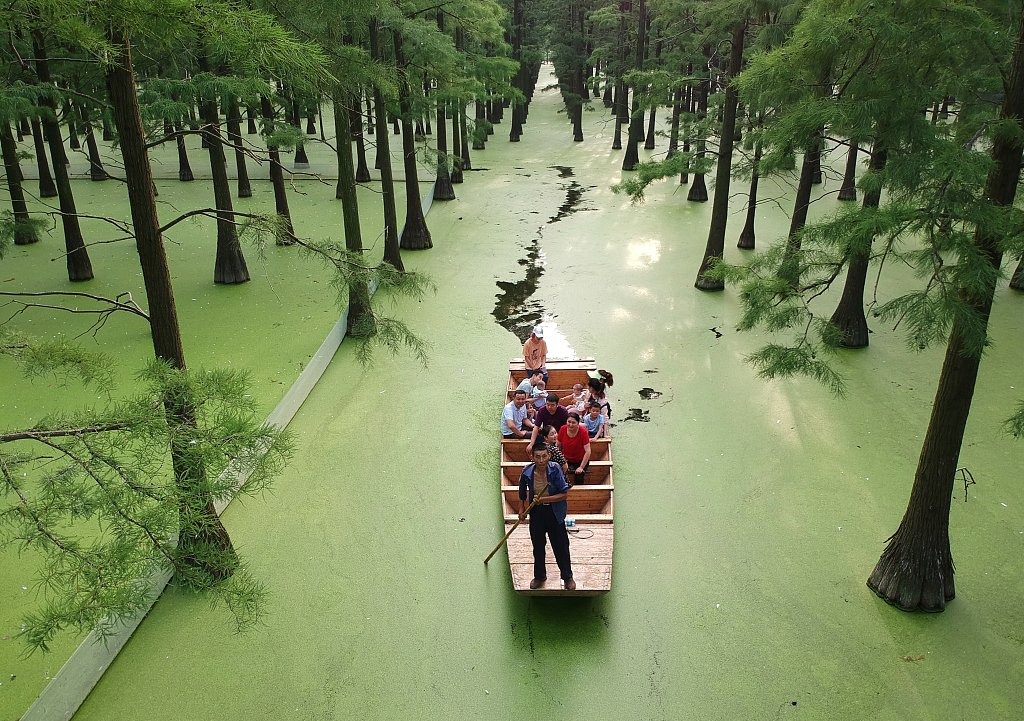Green paradise: Zhangdu wetland in Central China