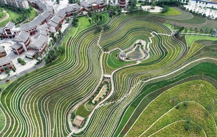 Giant fingerprints dot the land: Aerial views of terraced fields in China’s Guizhou
