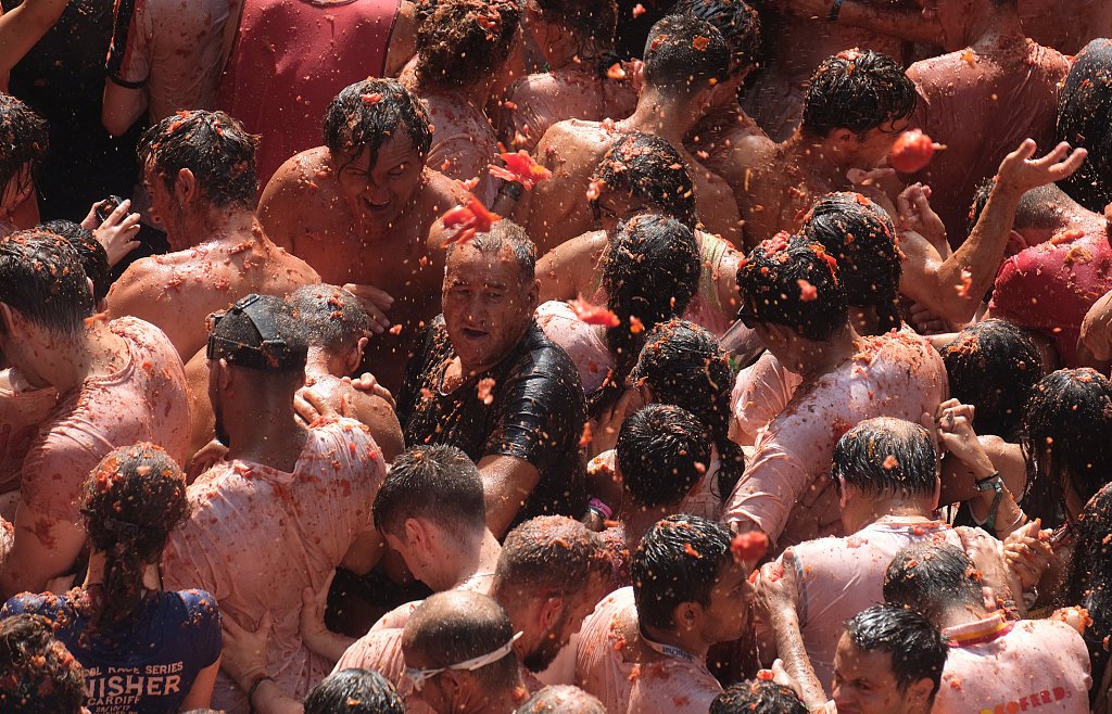 A town in Spain celebrates the Tomatina festival